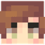 Skin minecraft Wiki